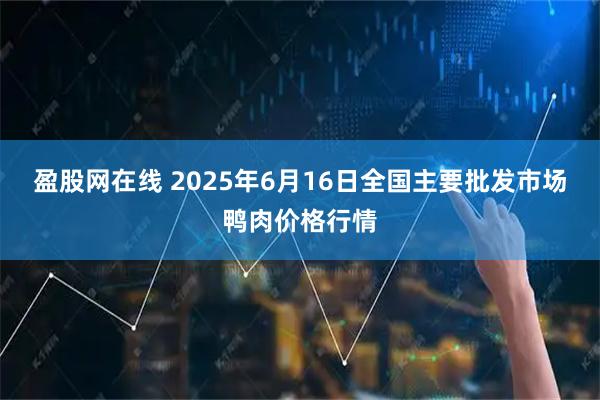盈股网在线 2025年6月16日全国主要批发市场鸭肉价格行情