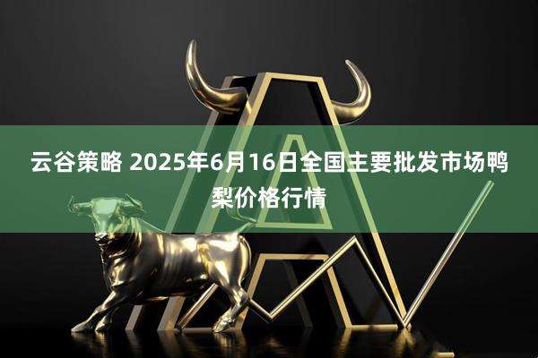 云谷策略 2025年6月16日全国主要批发市场鸭梨价格行情