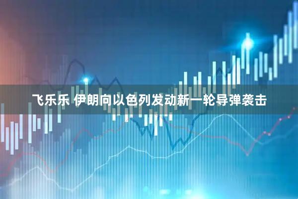 飞乐乐 伊朗向以色列发动新一轮导弹袭击